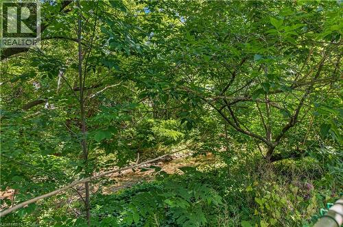 627 Geneva Park Drive, Burlington, ON 