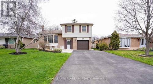 Bsmt - 45 Braemar Drive E, Brampton, ON 