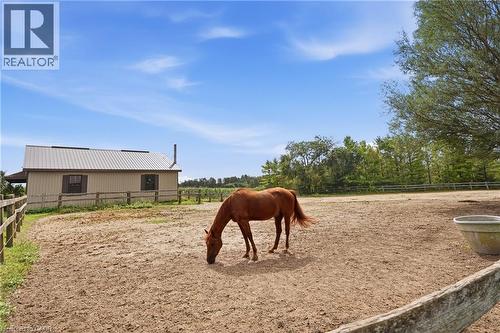 9064 Concession 11, Mount Forest, ON 