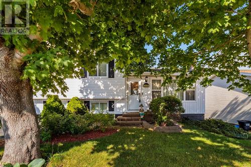 346 Canada Drive, St. John'S, NL 