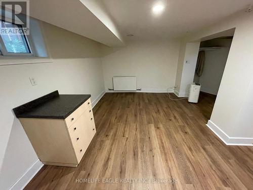 LOWER LEVEL - 1277 BROADVIEW AVENUE , Toronto, Ontario M4K 2T5 5