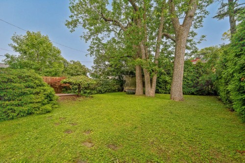 Cour - 156 Av. Wicksteed, Mont-Royal, QC 