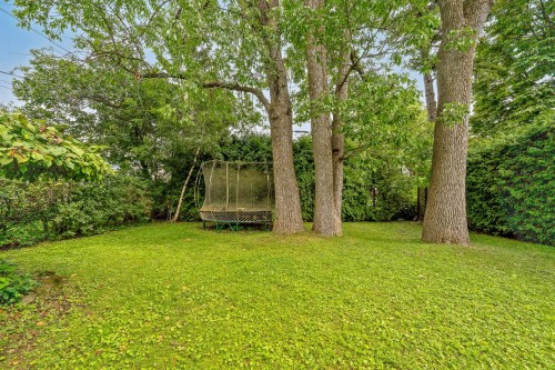 Cour - 156 Av. Wicksteed, Mont-Royal, QC 