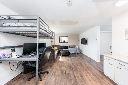 Sous-sol - 464 23E Avenue, L'Île-Perrot, QC 