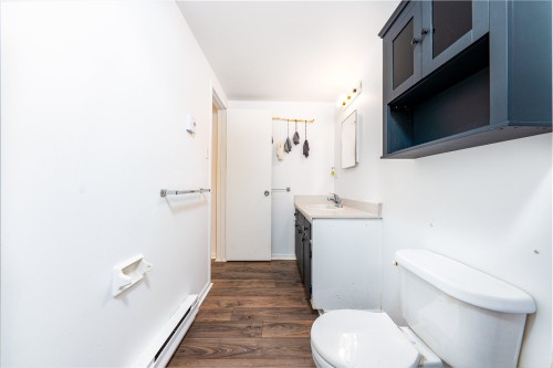 Salle de bains - 464 23E Avenue, L'Île-Perrot, QC 