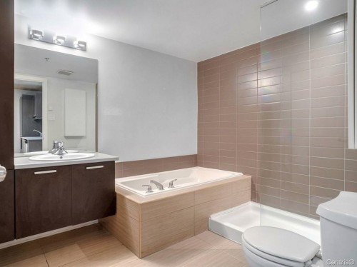 Salle de bains - 320-1451 Rue Parthenais, Montréal (Ville-Marie), QC 