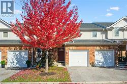 151 CLAIRFIELDS Drive Unit# 3  Guelph, ON N1L 1P5