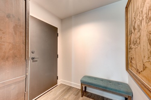 Hall d'entrée/Vestibule - 618-280 Route 132, Saint-Constant, QC 
