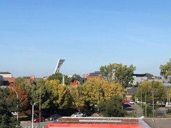 View - 