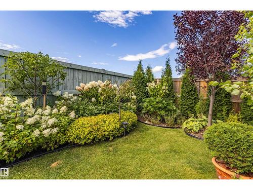 1304 165 St Sw, Edmonton, AB 