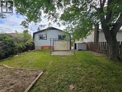 Expansive backyard featuring a mature tree, concrete patio area, and a garden bed - 