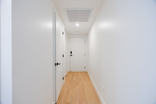 Hall d'entrée/Vestibule - 3724-1210 Rue Jeanne-Mance, Montréal (Ville-Marie), QC 