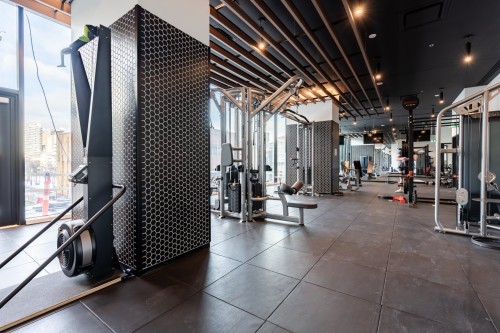 Salle d'exercice - 3724-1210 Rue Jeanne-Mance, Montréal (Ville-Marie), QC 