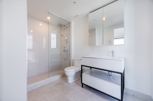 Salle de bains - 3724-1210 Rue Jeanne-Mance, Montréal (Ville-Marie), QC 