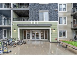 #225 111 WATT CM SW  Edmonton, AB T6X 2C6