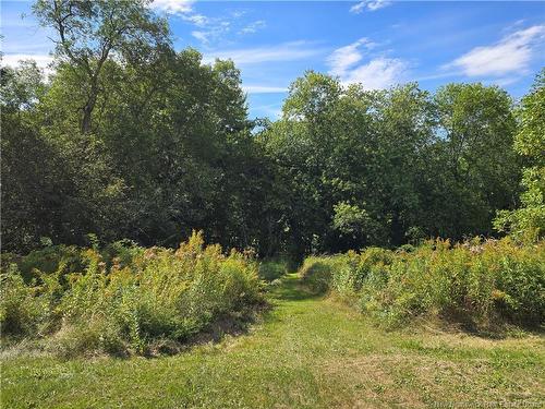 376 Kennebecasis River Rd, Hampton, NB 