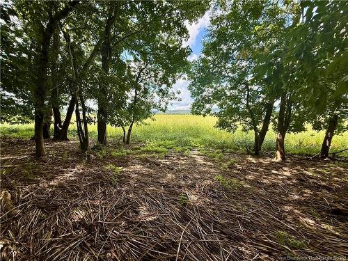 376 Kennebecasis River Rd, Hampton, NB 