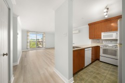 Kitchen - 