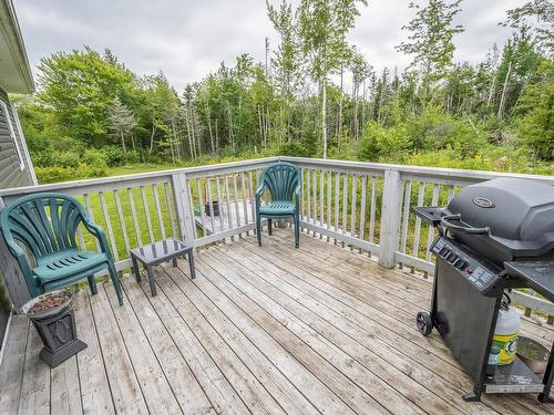 170 Blainedale Drive, Salmon River, NS 