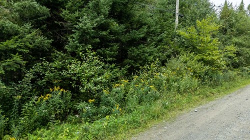 Terre/Terrain - Tv-Ch. Des Versants, Mille-Isles, QC 