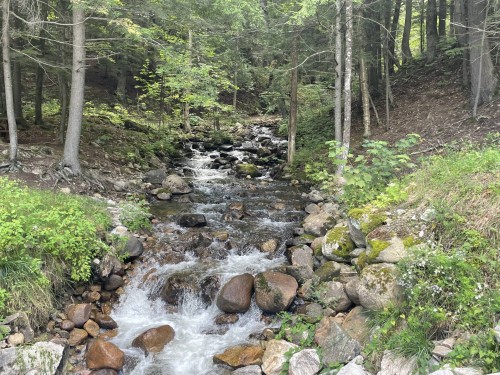 Autre - 6 Ch. Du Flood, Lac-Du-Cerf, QC 