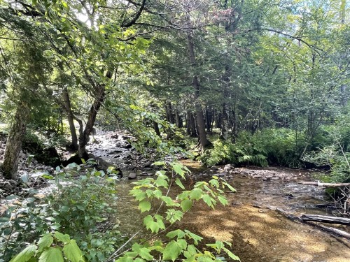 Autre - 6 Ch. Du Flood, Lac-Du-Cerf, QC 