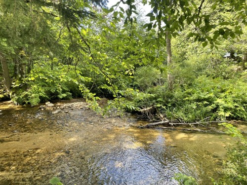 Autre - 6 Ch. Du Flood, Lac-Du-Cerf, QC 