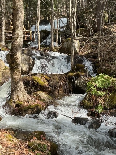 Autre - 6 Ch. Du Flood, Lac-Du-Cerf, QC 