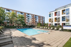 Pool - 