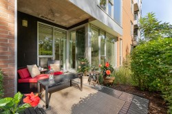 Patio - 