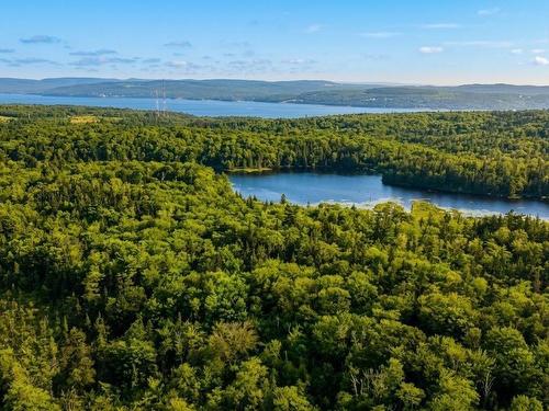 Old Mulgrave Road, Aulds Cove, NS 
