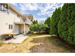 Backyard with thriving plum tree - 