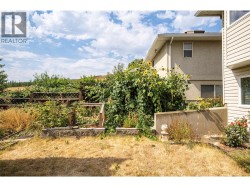 Lots of space for gardening - 