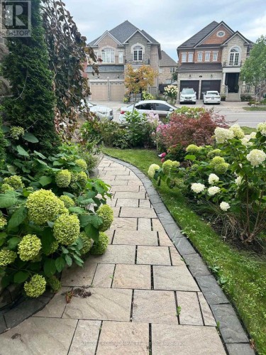 307 CHATFIELD DRIVE , Vaughan, Ontario L4H 3R7 2
