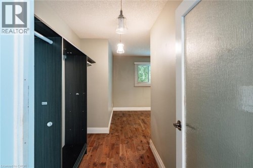 Wood-finish flooring, built-in open shelving, two glass pendant light fixtures, and a textured glass door - 229 Winfield Avenue, Waterloo, ON 