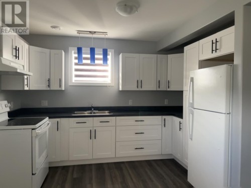 16 Cedar Lane, Springdale, NL 