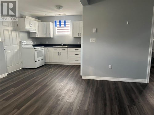 16 Cedar Lane, Springdale, NL 