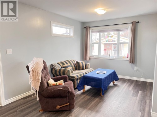 16 Cedar Lane, Springdale, NL 