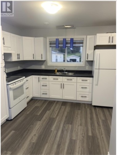 16 Cedar Lane, Springdale, NL 