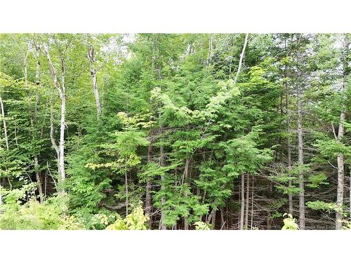 - Bathory, Lower Greenwich, NB 