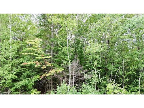- Bathory, Lower Greenwich, NB 