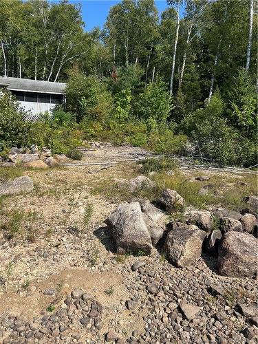 0 Maxwell Rd, Second Falls, NB 