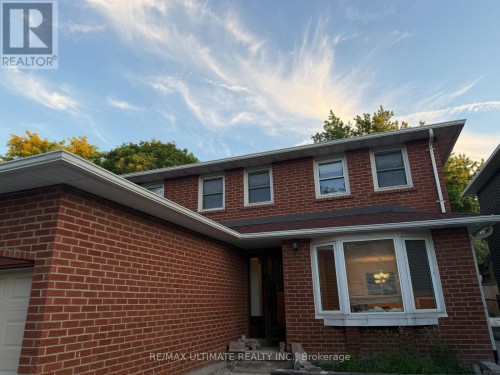 BASEMENT - 58 BRAIDWOOD LAKE ROAD , Brampton, Ontario L6Z 1X6