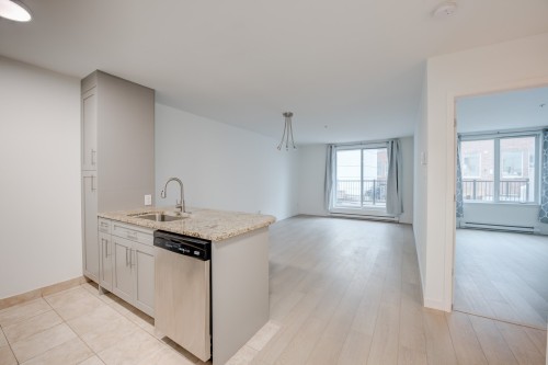 Kitchen - 219-1950 Rue De Champlain, Montréal (Ville-Marie), QC 