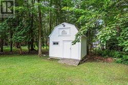 Shed - 