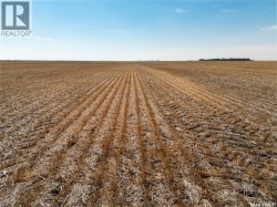 305 Acres - Sedley  Francis Rm No. 127, SK S0G 0J8