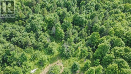 2331 D Line Rd, Richards Landing, ON 