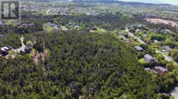 219-223 Spruce Hill Road  Conception Bay South, NL A1W 5N4