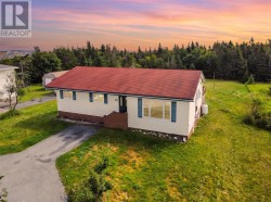 103 Firdale Drive  St. John's, NL A1A 4X5