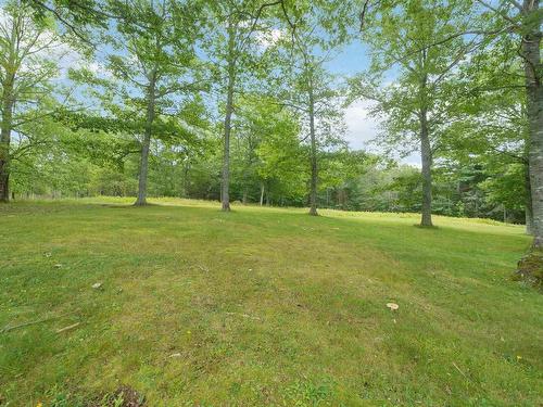 202 Windsor Back Road, Martock, NS 